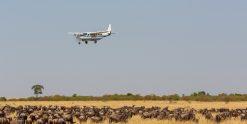 Kenya flying packages