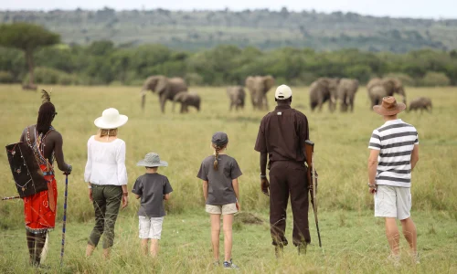Kenya Family safari tours - Kichwa Tembo Masai Mara